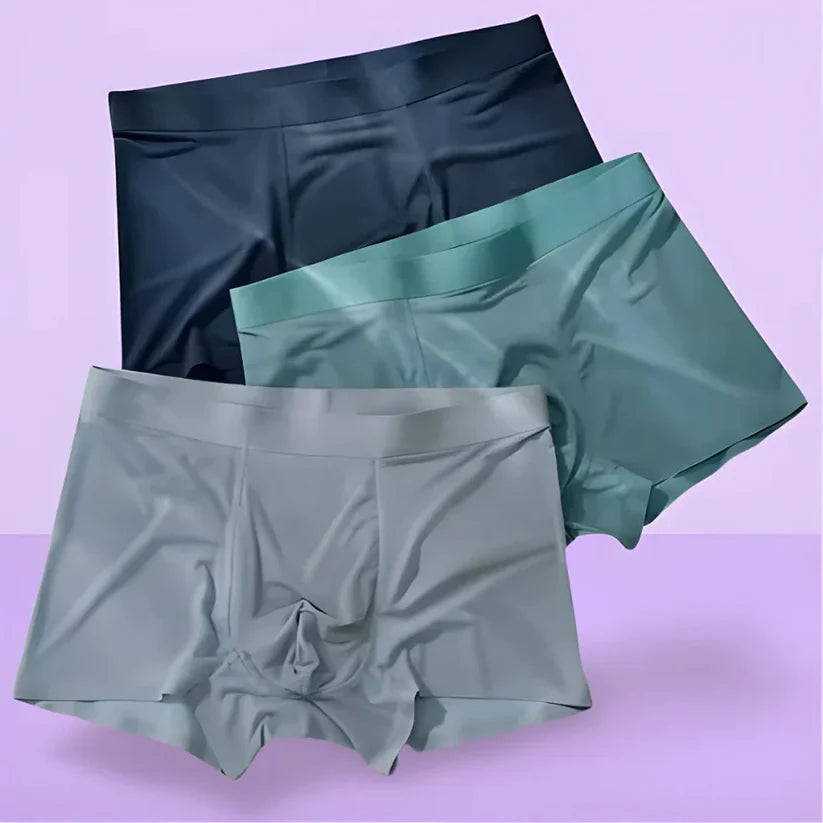 Anti-Schweiß Ice Silk Boxershorts (4er-Pack)
